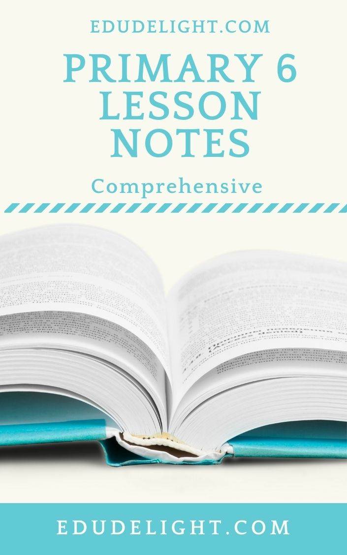 Pry 6 lesson notes