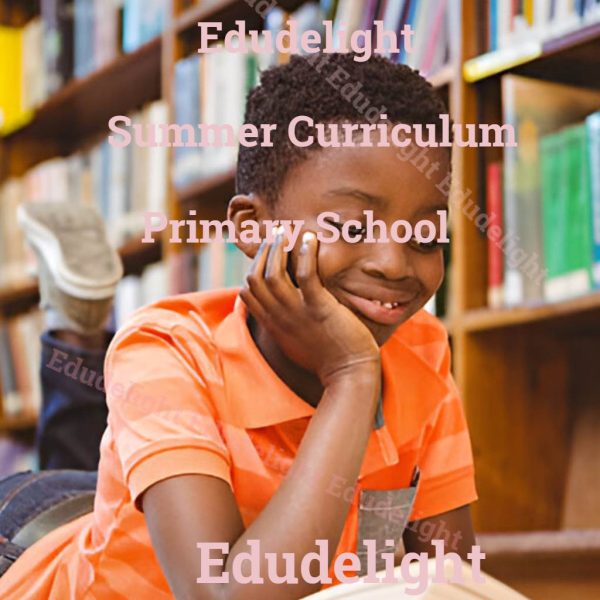 Summer Curriculum for Primary School EduDelight store